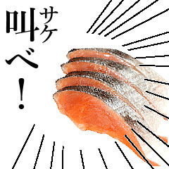 【実写】鮭の切り身